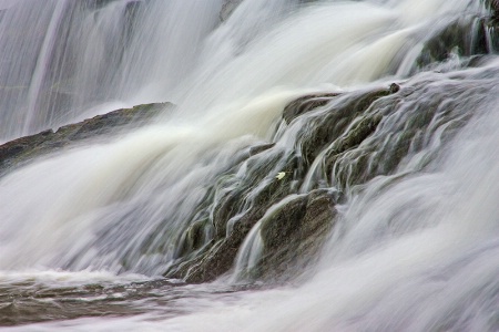 Leaf Amid the Torrent