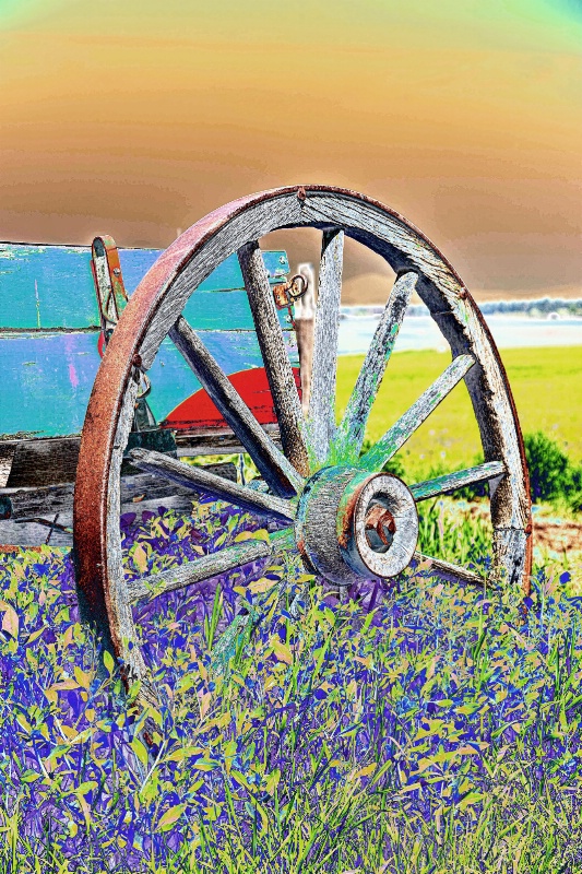 wacky wagon wheel