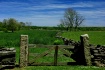 Pristine Landscap...
