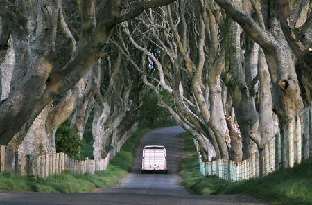 The Dark Hedges