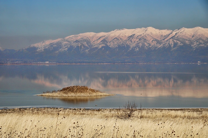 Antelope Island View