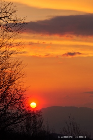 Silhouette of tree in the mountains at sunset