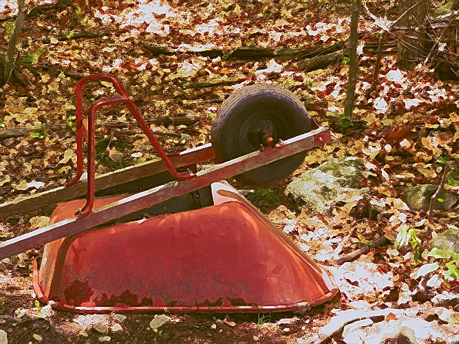 Wheelbarrow in the Woods