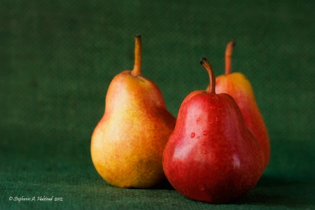Three Pears on Green