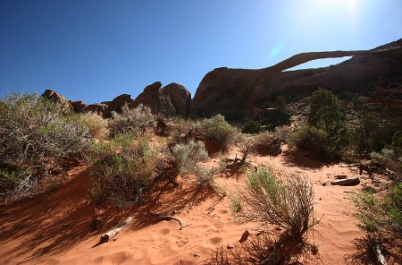 Desert Light