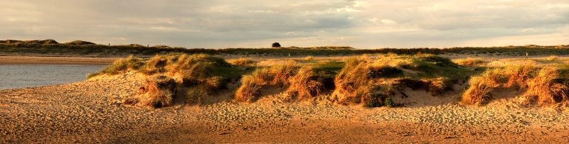 On the Dunes at Malahide