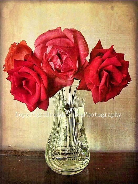 ~Mother's Day Roses~