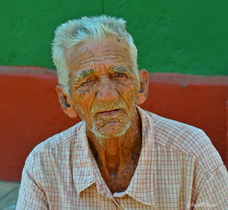 The Basket Vendor