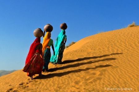 Thar Desert-Rajasthan