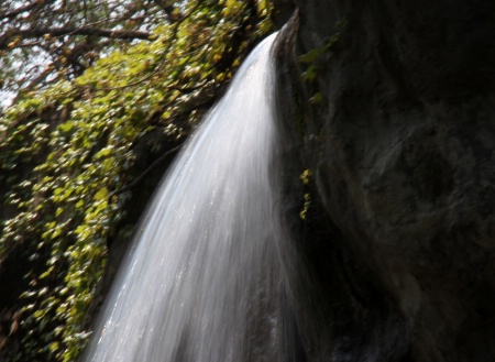 A waterfall from Shanghai Zoo.