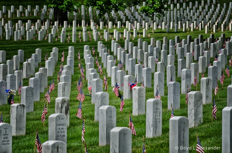 Arlington National Cemetery - Washington DC
