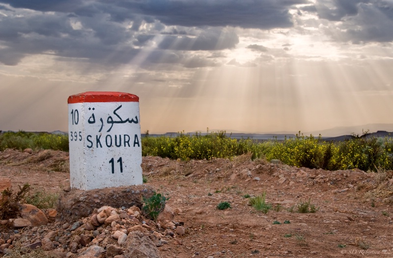 The Road to Skoura