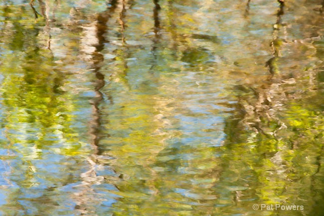 Reflections - ID: 13020857 © Pat Powers