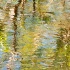 © Pat Powers PhotoID # 13020857: Reflections