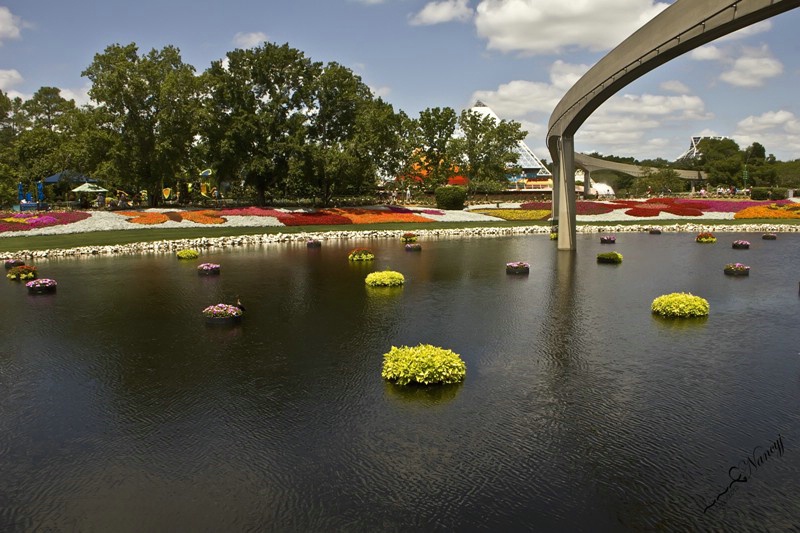 Epcot Flower Festival 2012