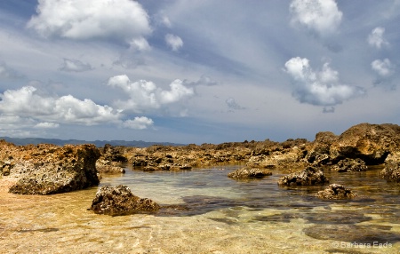 Tide Pools