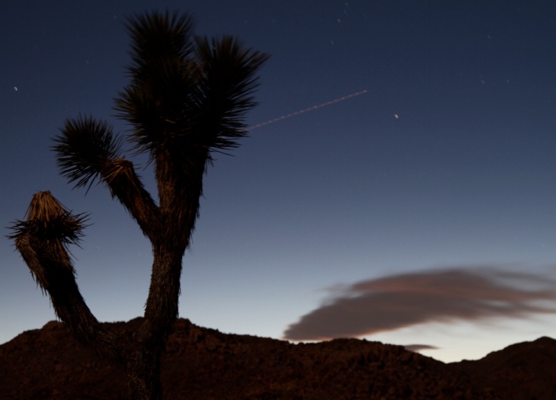 Night-Time at Joshua Tree National Park