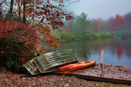 Reflections on the Lake