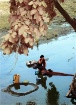 Water Vs Life