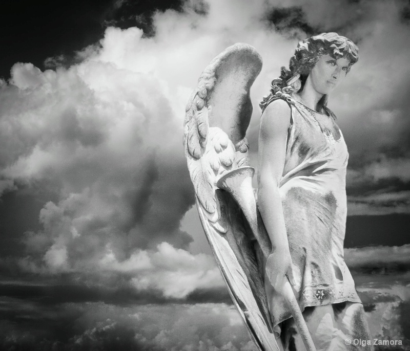 Resurrection Angel - ID: 13022811 © Olga Zamora