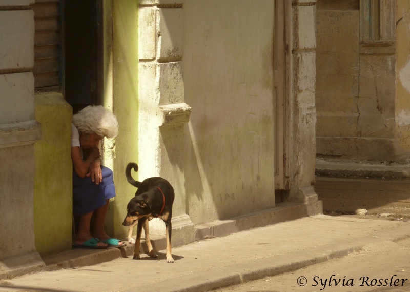 The lady and her dog