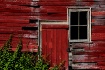 Old & Rotting