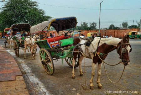 Streets of India