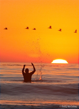 Surfer and the birds