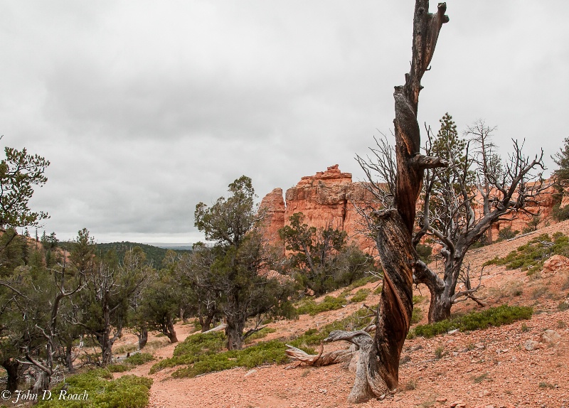 A Red Canyon Landscape - ID: 13030260 © John D. Roach