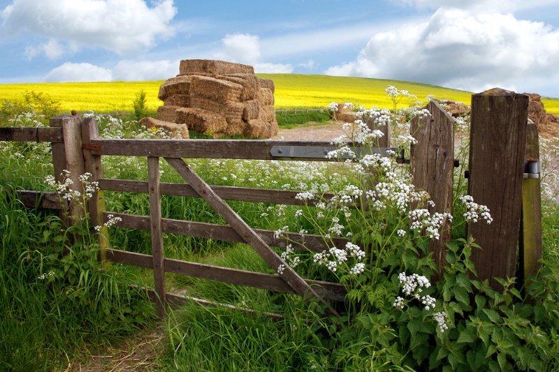 English Spring