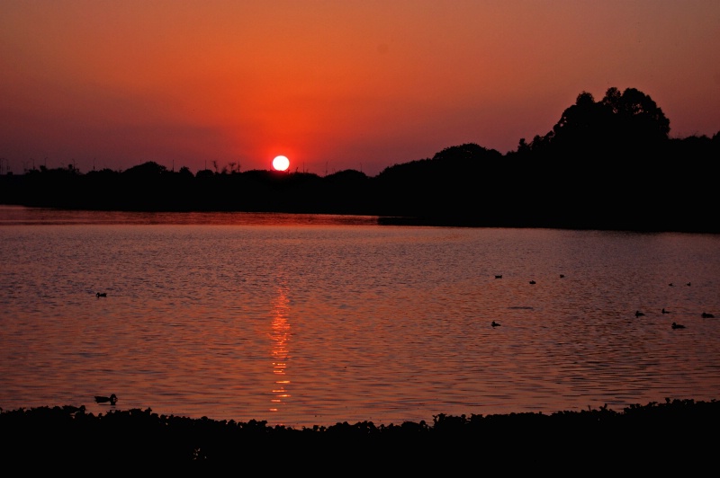 Sunrise @ lake - ID: 13030686 © VISHVAJIT JUIKAR