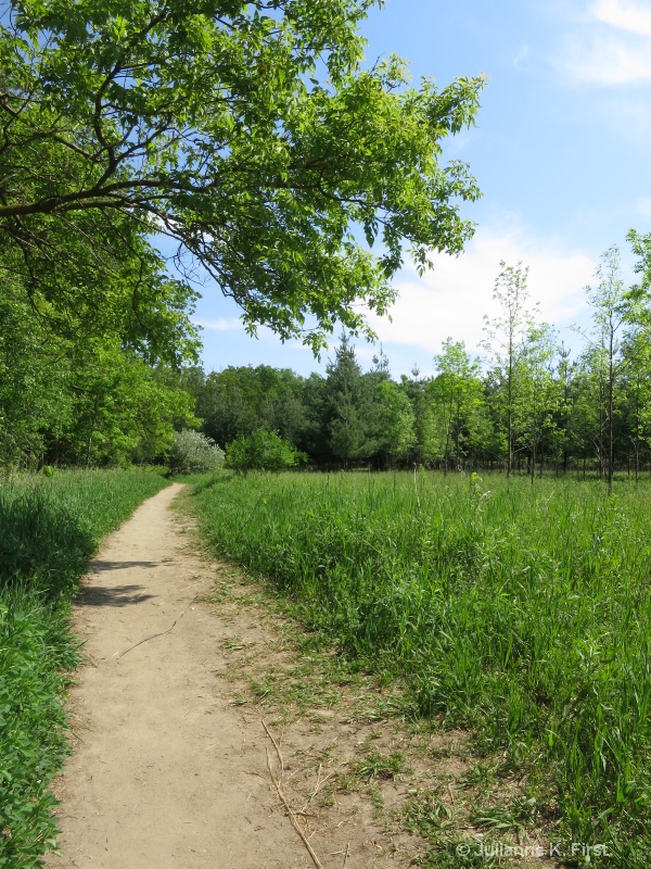 Komoka Trail