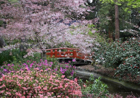 Japanese Garden