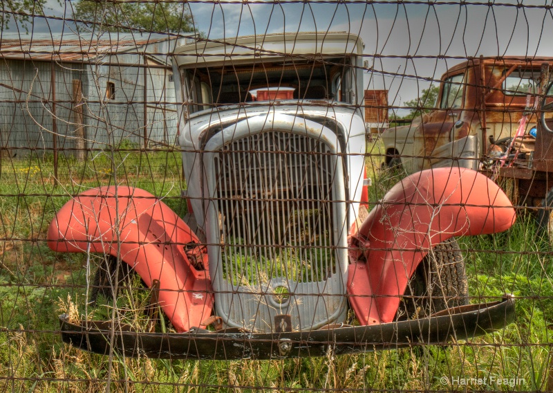 beauty behind bars