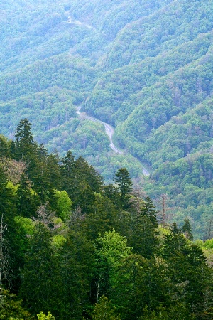 SMOKY MOUNTAIN ROAD