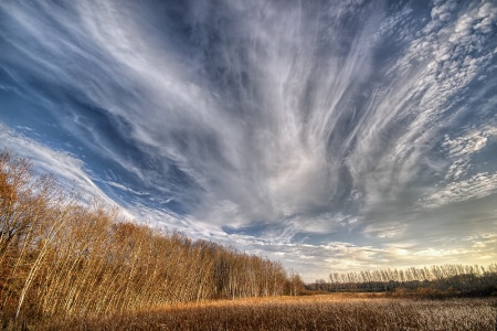 November Sky