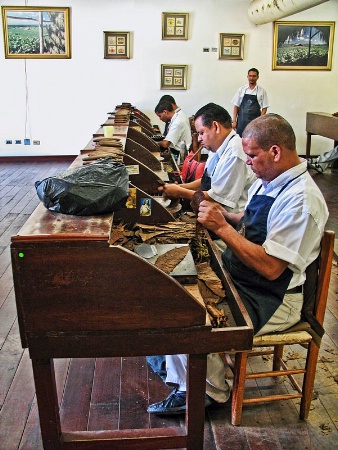 Dominican Cigar Makers