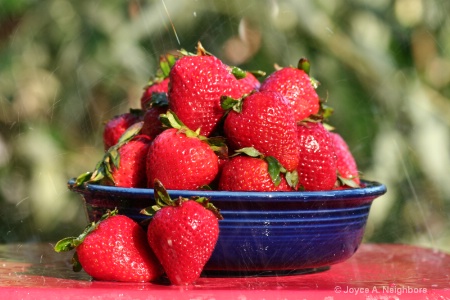 Summer Berries