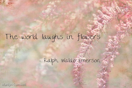 The World Laughs in Flowers