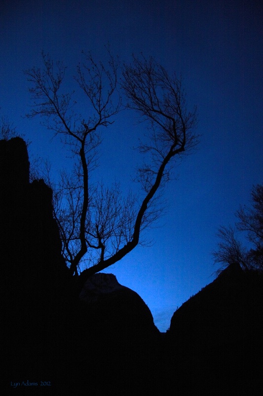 nightfall ... in the canyon