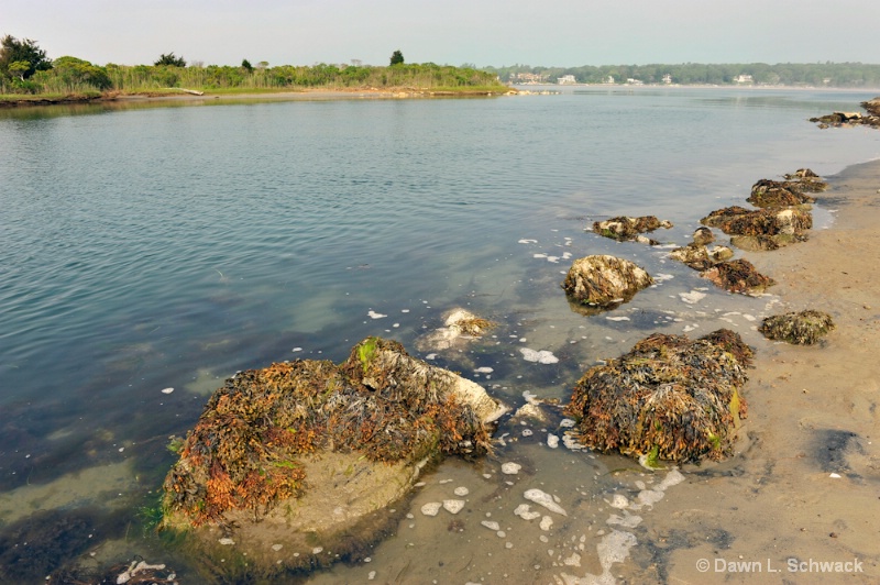 saltwater pond - ID: 13042012 © Dawn Schwack