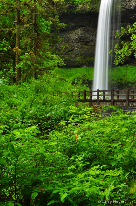 Silver Falls State Park- Oregon
