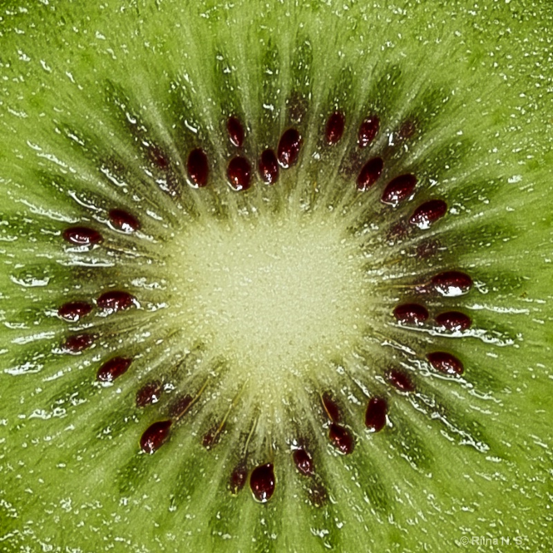 Heart of Kiwi