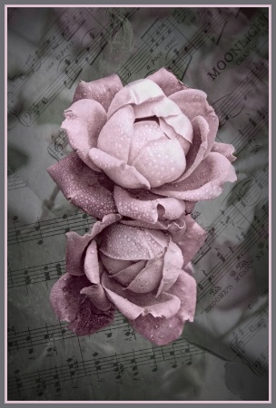 Music and Roses