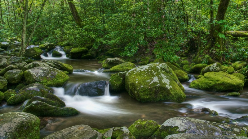 Roaring Fork After the Rain