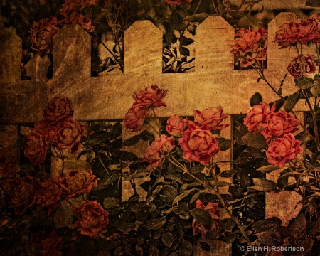 antique roses cropped 