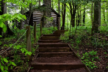 The Cabin Trail