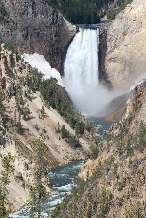 Yellowstone Falls