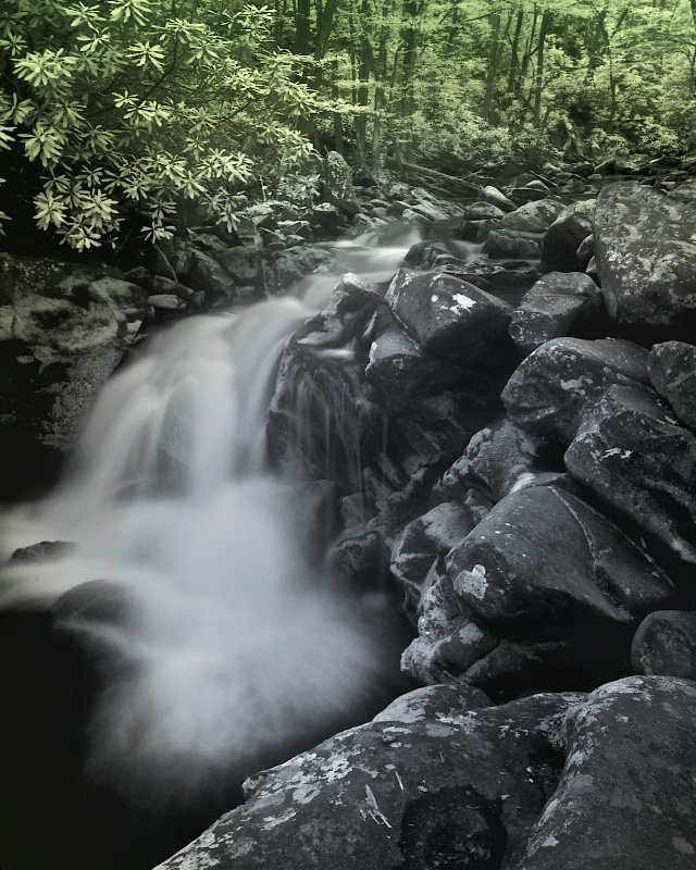 Smoky Mountain Creek (with color)