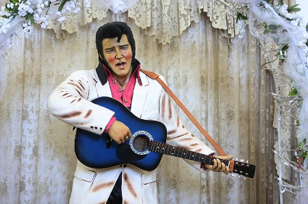 Elvis is back!